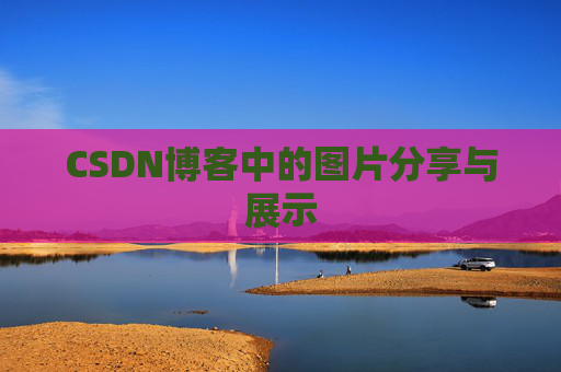 CSDN博客中的图片分享与展示